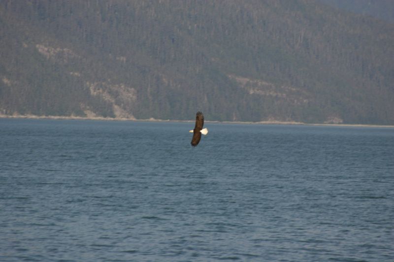 062404 Haines AK (10068)